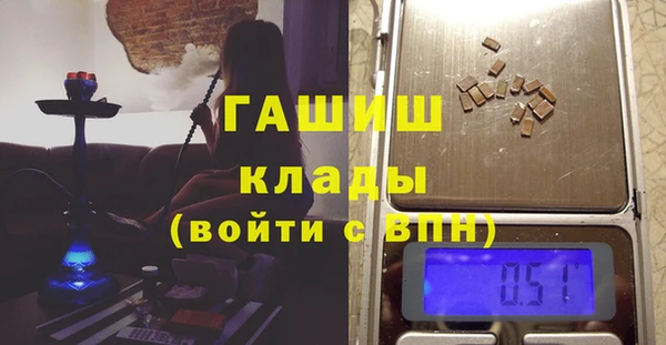 дживик Ельня