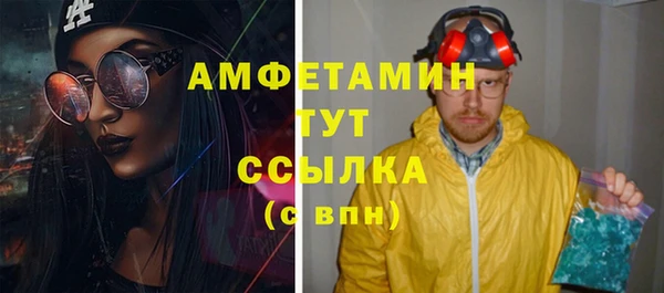 дживик Ельня
