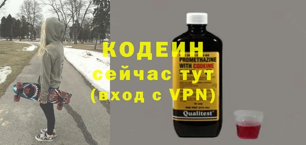 дживик Ельня