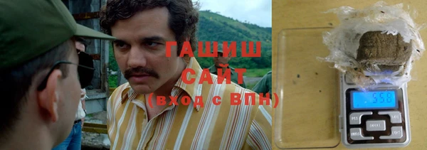 дживик Ельня