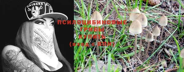 mdpv Лабытнанги