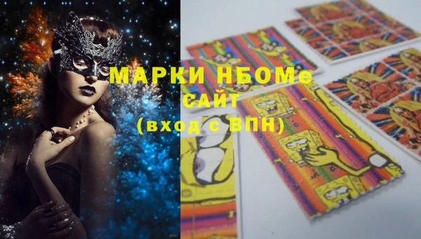 дживик Ельня