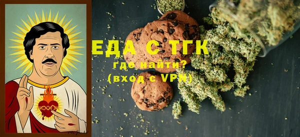 дживик Ельня