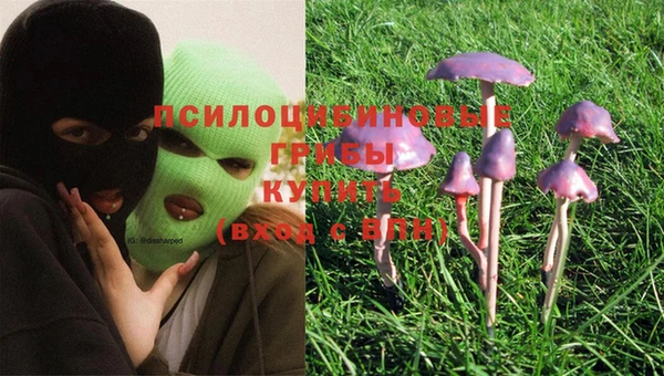 мдма Елизово