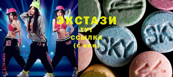 дживик Ельня