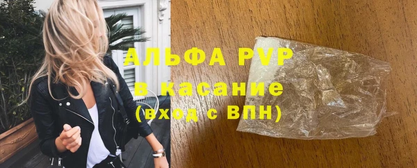 дживик Ельня