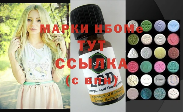 дживик Ельня