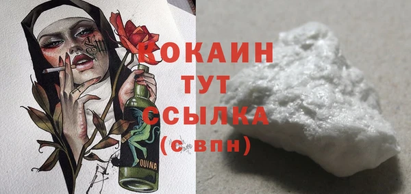 дживик Ельня