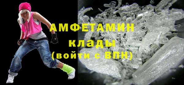 дживик Ельня