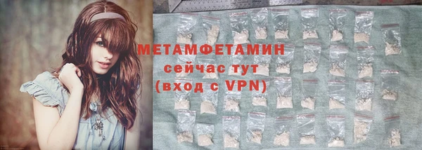 дживик Ельня