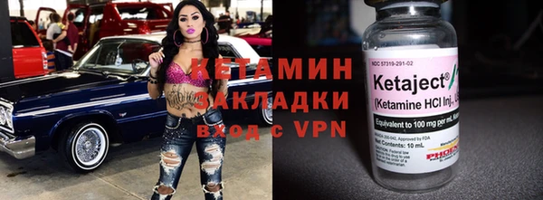 дживик Ельня