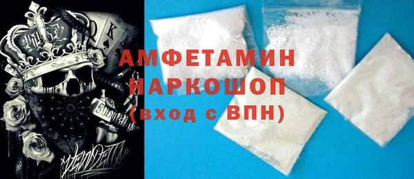дживик Ельня