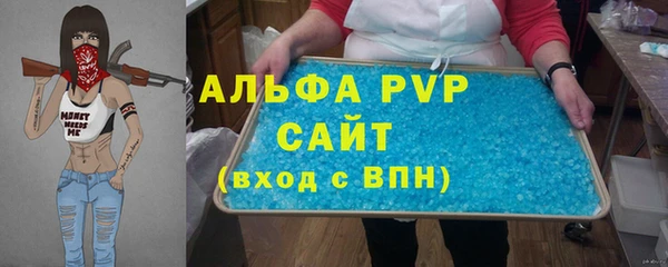 дживик Ельня