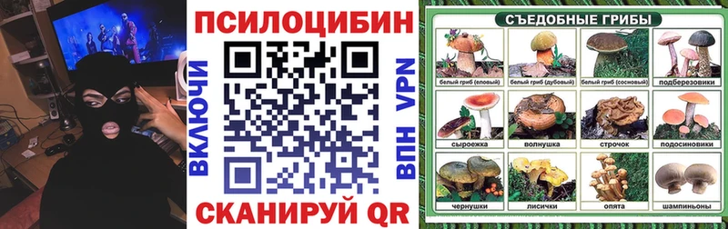 Галлюциногенные грибы Psilocybe Сасово